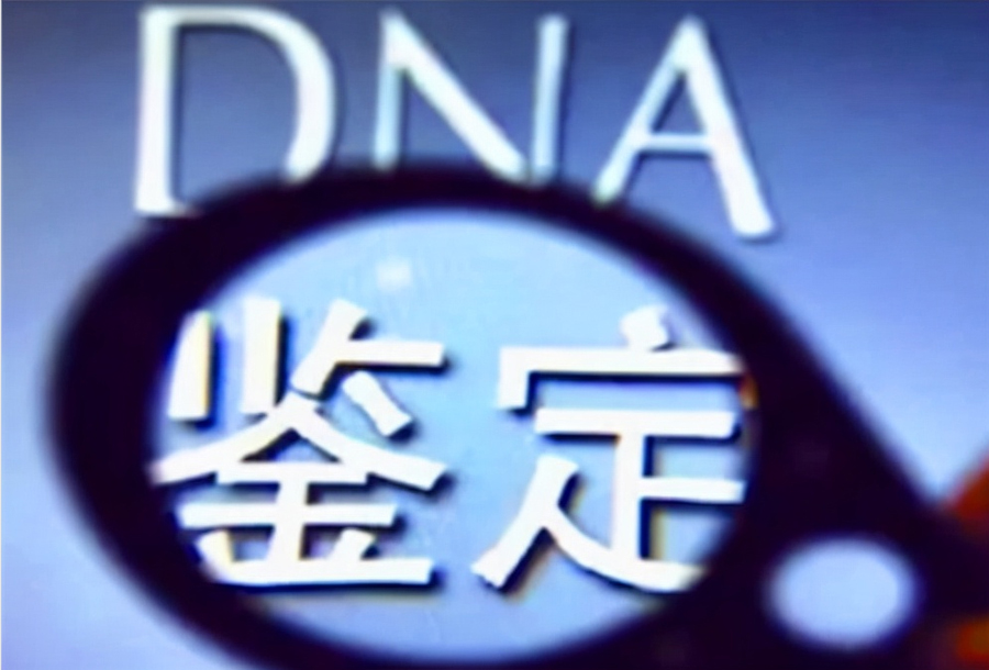 贵州省隐私DNA亲子鉴定需要怎么办理,贵州省个人DNA鉴定手续和流程有些什么