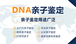 贵州省个人DNA亲子鉴定多少钱，贵州省匿名亲子鉴定流程是怎样的
