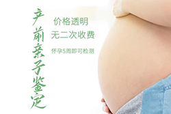 贵州省怀孕如何办理亲子鉴定，贵州省胎儿办理亲子鉴定详细流程