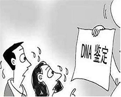 贵州省匿名DNA亲子鉴定流程是怎样的，贵州省个人亲子鉴定多少钱